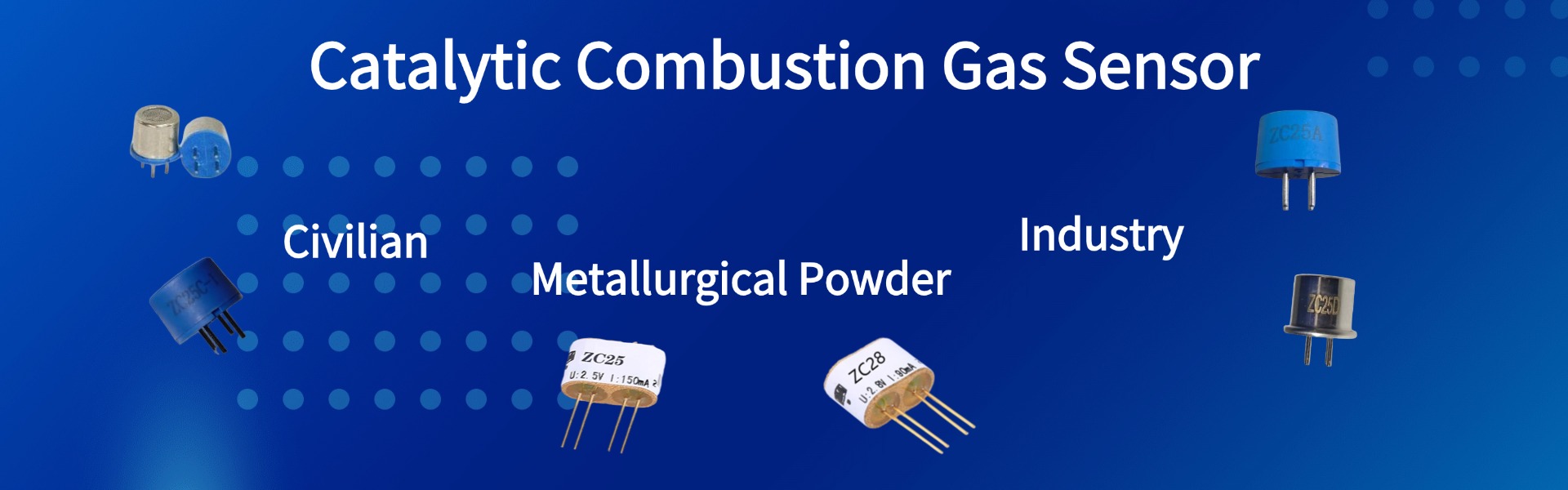 <span hidden>title</span>